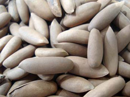 ANMOLD DRY FRUITS : Wholesale Dry Fruits Dealers,Cashew Nuts Wholesale And Manufacturers,Dry Fruit Gift Boxes,Dehydrated Fruits,Cashew Flavour Masala Wholesale And Manufacturers,Walnuts Wholesale Dealer,Almonds Wholesale Dealers,Dry Fruits Wholesale And Retail,Nuts And Spices,Homemade Chocolates