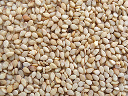 ANMOLD DRY FRUITS : Wholesale Dry Fruits Dealers,Cashew Nuts Wholesale And Manufacturers,Dry Fruit Gift Boxes,Dehydrated Fruits,Cashew Flavour Masala Wholesale And Manufacturers,Walnuts Wholesale Dealer,Almonds Wholesale Dealers,Dry Fruits Wholesale And Retail,Nuts And Spices,Homemade Chocolates